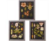 Set of 3 Distressed Finish Charcoal Gray Framed Glass Flower Wall Art Decorations 26.75