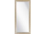 65 Sage Green and Silver Wooden Framed Beveled Rectangular Wall or Door Mirror