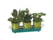 15 Fancy Fair Modern Style Lime Green and Turquoise Decorative Flower Pot Planter Set