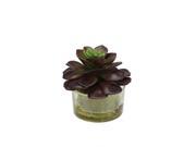 4.5 Decorative Artificial Echeveria Succulent Plant in Clear Round Glass Vase