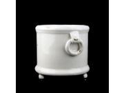 6.25 Botanic Beauty Decorative White Footed Pot with Side Ring Accents