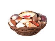 Pack of 6 Seashell Wicker Basket Luau Party Decorations 6.5
