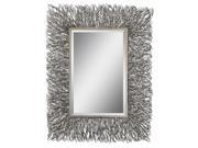 56 Unique Silver and Champagne Rectangular Beveled Wall Mirrror