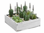 Set of 9 Artificial Green Succulent Plant Garden Name Card or Photo Holders in Box 4.75
