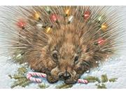 Pack of 16 Princely Porcupine Fine Art Embossed Deluxe Christmas Greeting Cards