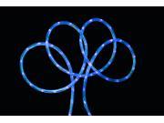 18 Blue LED Indoor Outdoor Christmas Rope Lights 2 Bulb Spacing