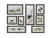 8 Piece Set of Bird Fish and Seashells Seashore Collage Framed Art Prints