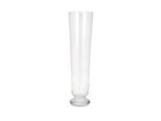 27.5 Medium Mckenzie Clear Transparent Pilsner Shaped Glass Flower Vase
