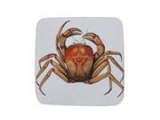 Pack of 8 Absorbent Antique Style Mud Crab Illustration Cocktail Drink Coasters 4
