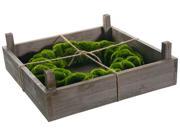 14 Green Moss Artificial Spring Wreath in Rustic Wood Frame Box