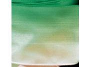 Green and White Ombre Taffeta Wired Craft Ribbon 2 x 27 Yards