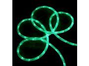 18 Green LED Indoor Outdoor Christmas Rope Lights 2 Bulb Spacing