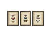 Set of 3 Pale Pink Academic Showcase Butterfly Collection Framed Wall Art