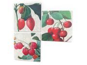 Set of 3 Farm Fresh Strawberry Cherry Raspberry Decorative Wall Art Canvases