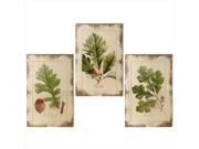 Set of 3 Weathered Distressed Finish Beige Acorns and Leaves Wall Art Decorations 17.75