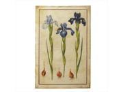 Pack of 2 Antique Style Purple Iris Canvas Wall Art Decorations 39.5
