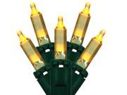 Set of 50 Transparent Gold Mini Christmas Lights Green Wire