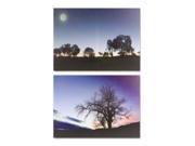 Pack of 2 Purple and White Sunset LED Tree Print Canvas Wall Art 20 H x 27.5 L