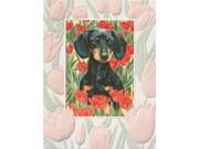 Pack of 9 Doxie Delight Fine Art Embossed Deluxe Greeting Cards