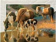 Pack of 9 Night Cap Horses Fine Art Embossed Deluxe Greeting Cards