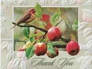 Pack of 9 Appletime Fine Art Embossed Deluxe Thank You Cards and Envelopes
