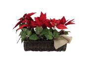 24 Red Christmas Poinsetta Floral Wicker Basket