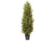 72 Tall Artificial Two Tone Green Argentia Plant with Round Pot