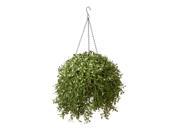 18 Artificial Two Tone Green Argentea Plant in Hanging Basket