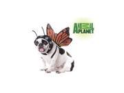 Animal Planet Butterfly Pet Costume X Small