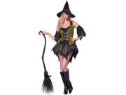 Bewitching Babe Adult Costume