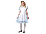 Child Alice In Wonderland Costume California Costumes 602