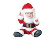 Deluxe Santa Baby Infant Toddler Costume