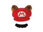 Super Mario Bros Nintendo Mario Raccoon Costume Kit Adult One Size