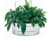 Oval Stainless Steel Tub Planter