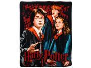 Harry Potter Wizards 46