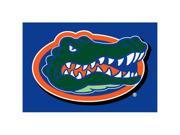 Florida Gators NCAA Tufted Rug 30x20