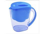 Propur Water Filter Pitcher with 1 ProOne G 2.0 mini filter element Removable Fruit Infuser