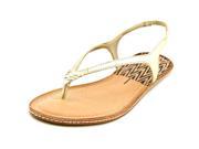 Dolce Vita Kay Women US 6 Gold Thong Sandal