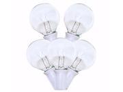 Sival 40252 25 Light G40 Candelabra Screw Base White Wire Clear Christmas Light String Set