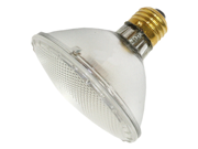 Ushio 1003841 60PAR30 FL30 120V PAR30 Halogen Light Bulb