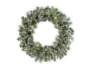 Vickerman 27377 24 Frosted Cashmere 40 Warm White Wide Angle LED Lights Christmas Wreath D126725LED