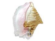 Gerson 058512 6.3 Conch Shell Night Light CONCH 6.3H ELECTRIC FUSED GLASS SHELL NIGHT LIGHT