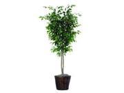 Vickerman 26287 6 Ficus Deluxe TDX0160 Ficus Home Office Tree