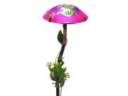 Regal Art Gift 10343 18.5 x 6.5 Frog Mushroom Stake Solar LED Light