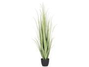 Vickerman 397428 6 x 18 Gladiolus Grass Tree w Pot T15002 Home Office Bushes