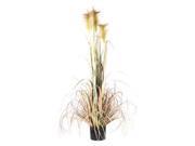 Vickerman 397466 4 x 12 Reed Grass Tree w Black Pot T15006 Home Office Bushes