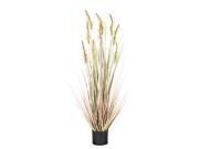Vickerman 397541 4 x 12 Grain Grass Tree w Black Pot T15014 Home Office Bushes