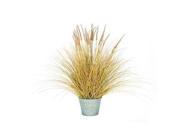 Vickerman 397589 45 x 36 Dogtail Grass Bush w Metal Pot T15018 Home Office Bushes