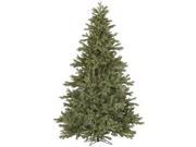Vickerman 32486 10 x 81 Frasier Fir 1 500 Warm White Italian LED Lights Christmas Tree A143386LED