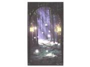 Ohio Wholesale 37968 24 x 14 x 1 Entrance To Enchantment Battery Operated LED Lighted Canvas Batteries Not Included